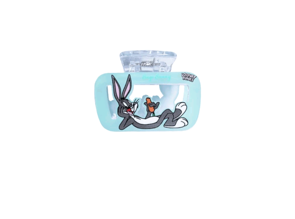 Looney Tunes Hair Clips