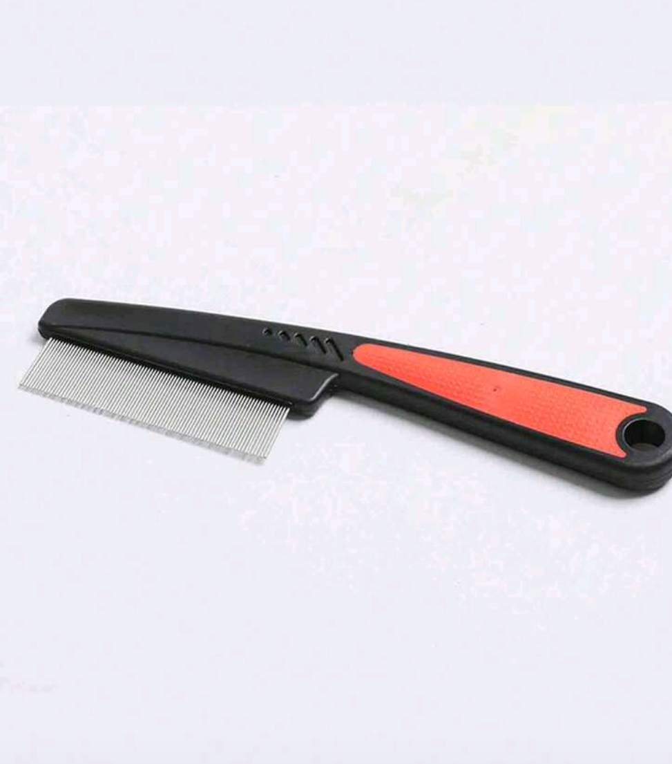 Scalp Brush