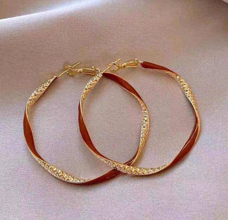 Reg Twisted Earring Hoops