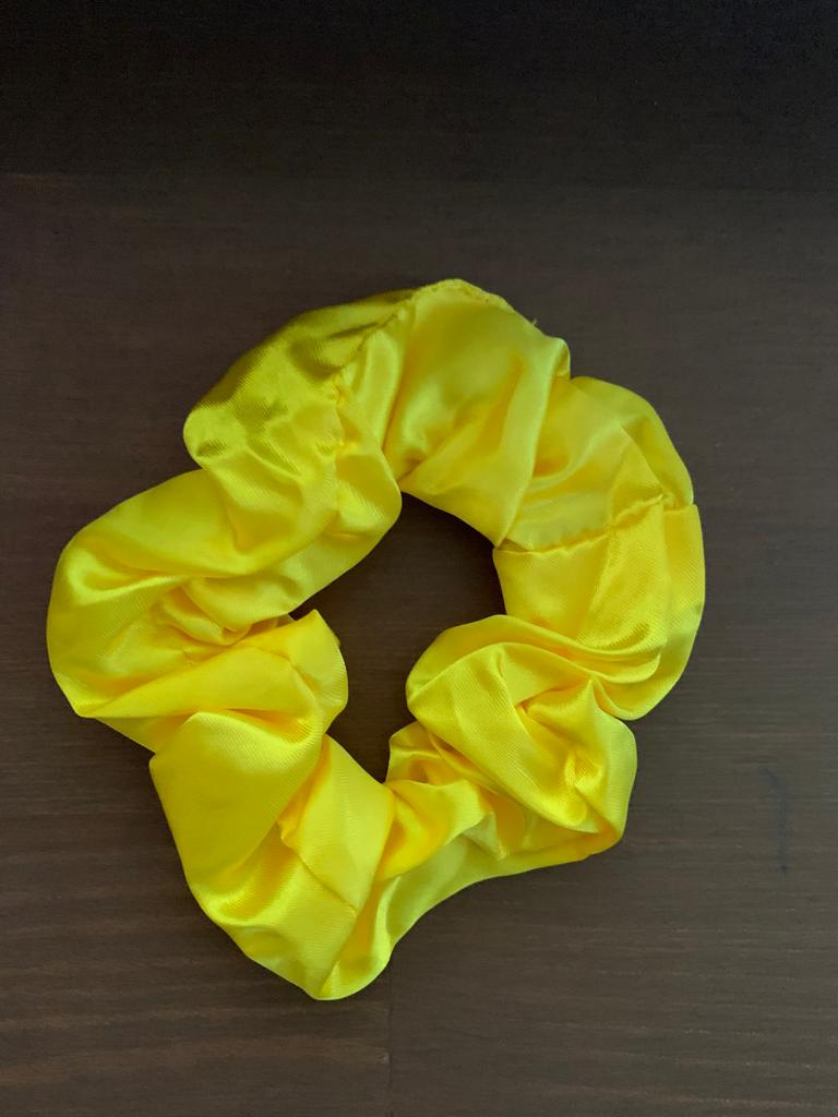 Satin Hair Scrunchies(2)