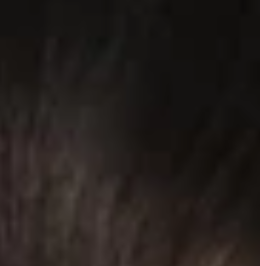 Bobbi Boss 3X Boss Braid French Curl 28