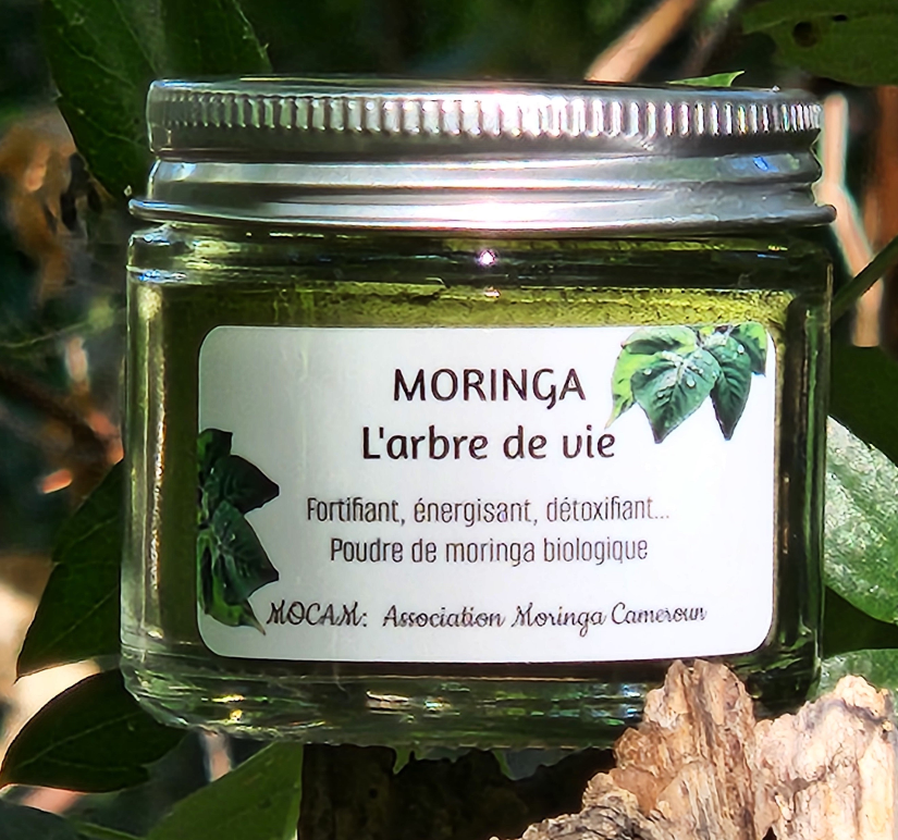 MORINGA: L'ARBRE DE VIE (20g)