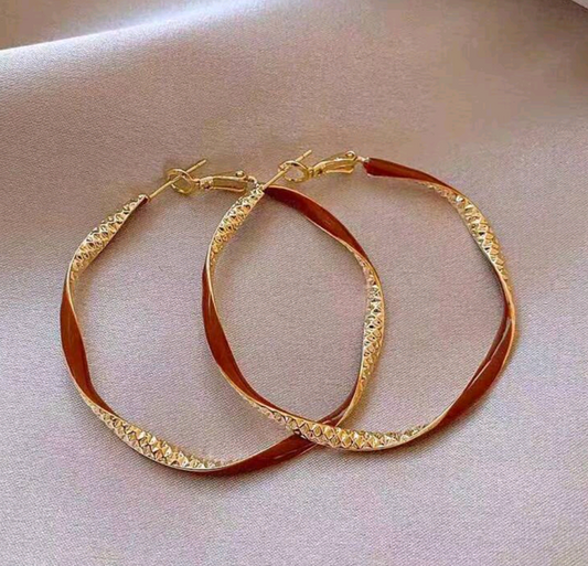 Reg Twisted Earring Hoops